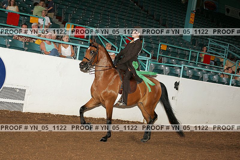 Proof Number yn_05_1122