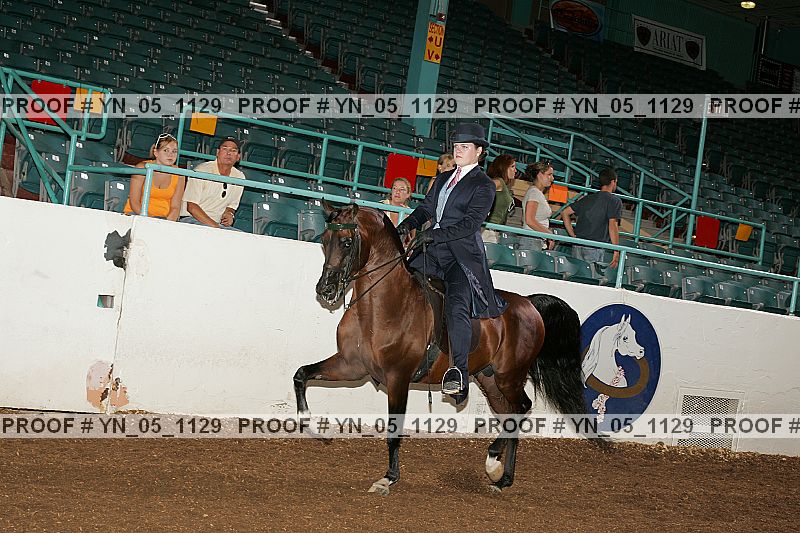 Proof Number yn_05_1129