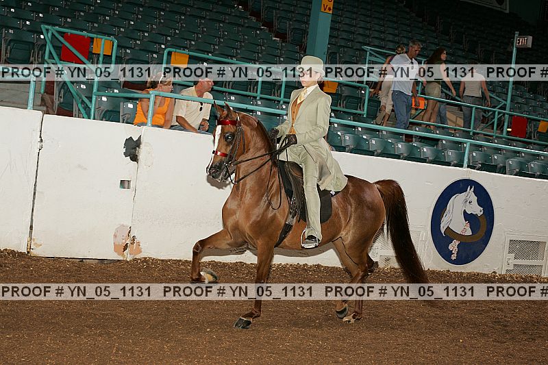 Proof Number yn_05_1131