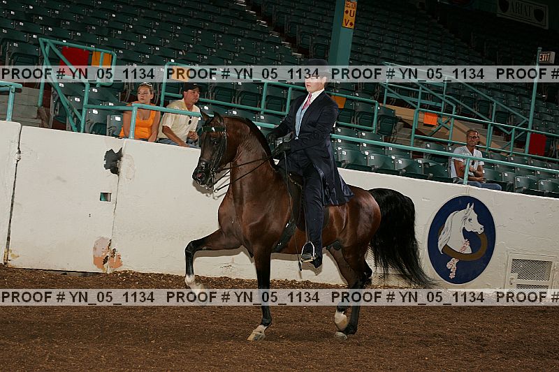 Proof Number yn_05_1134
