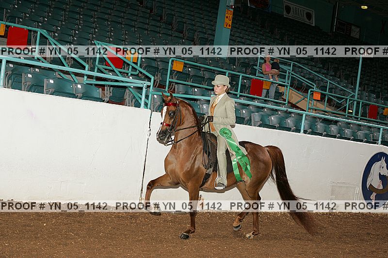 Proof Number yn_05_1142