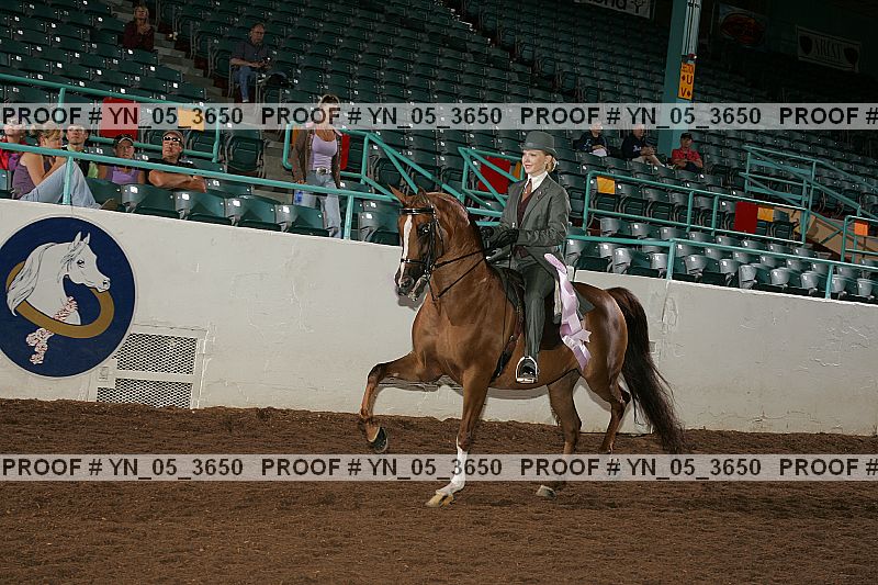 Proof Number yn_05_3650