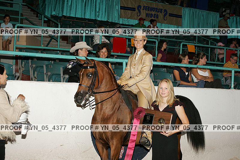 Proof Number yn_05_4377