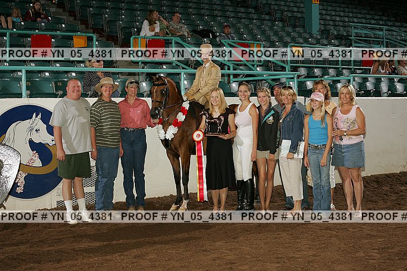 Proof Number yn_05_4381