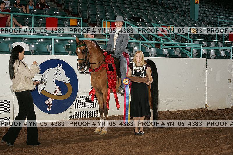 Proof Number yn_05_4383