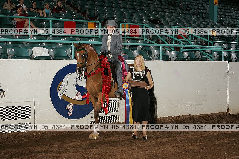Proof Number yn_05_4384