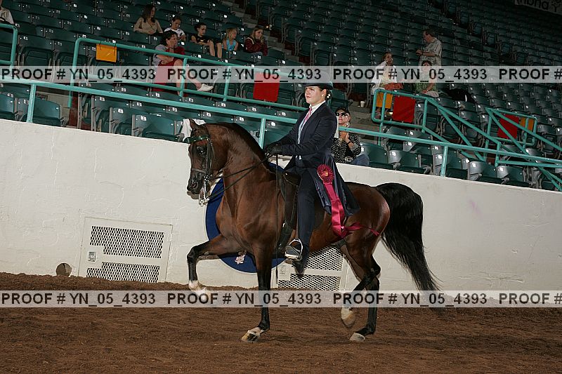 Proof Number yn_05_4393
