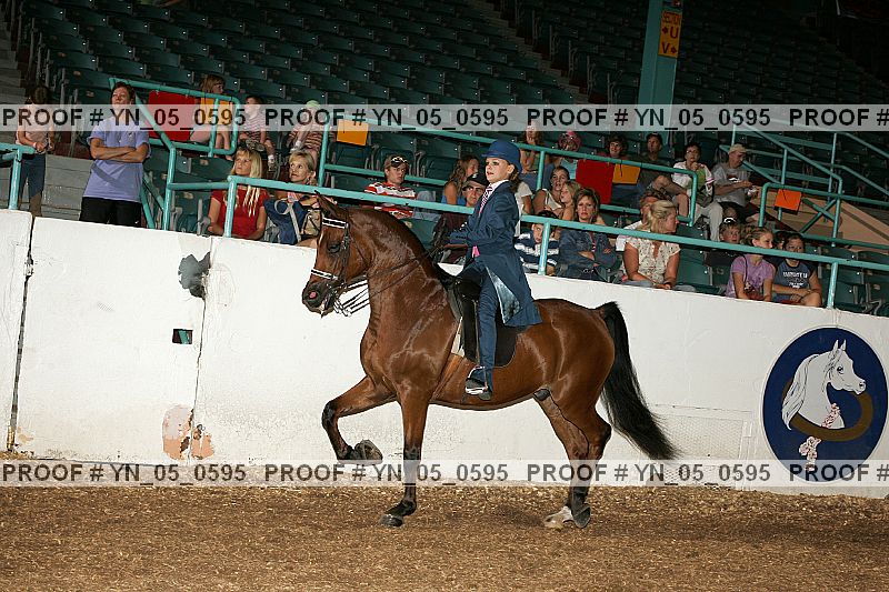 Proof Number yn_05_0595