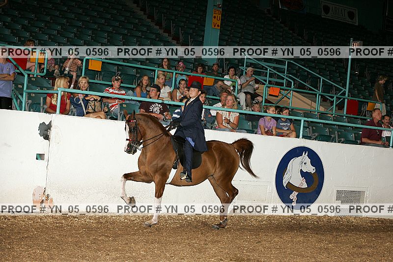 Proof Number yn_05_0596