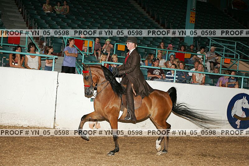 Proof Number yn_05_0598