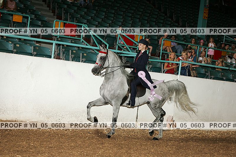 Proof Number yn_05_0603