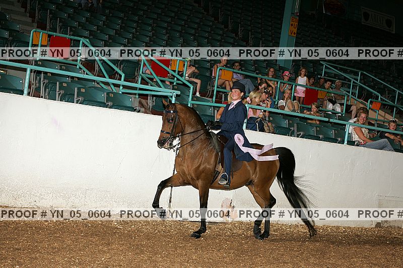Proof Number yn_05_0604