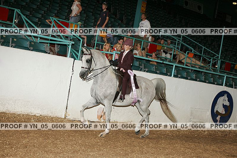 Proof Number yn_05_0606