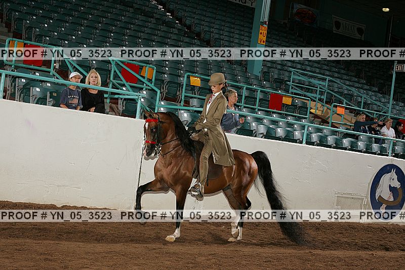 Proof Number yn_05_3523