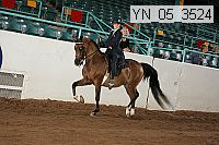 Proof Number yn_05_3524