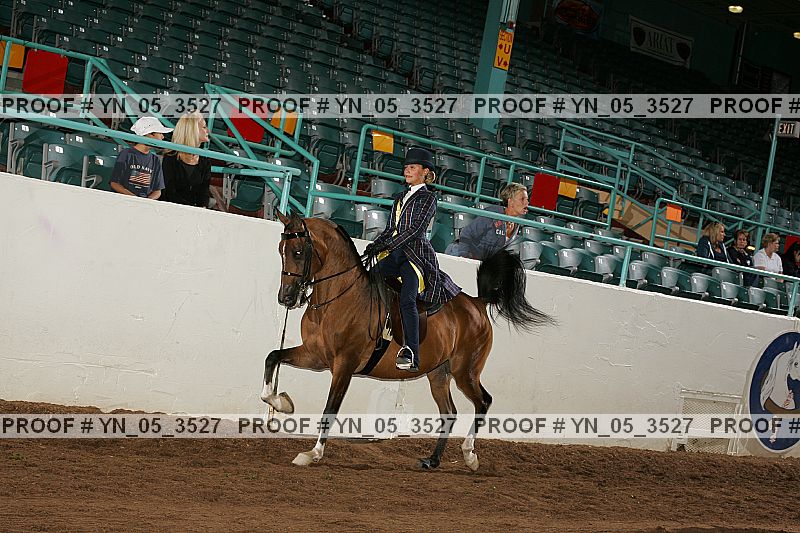 Proof Number yn_05_3527