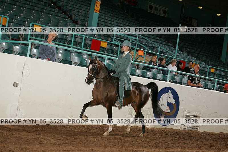 Proof Number yn_05_3528