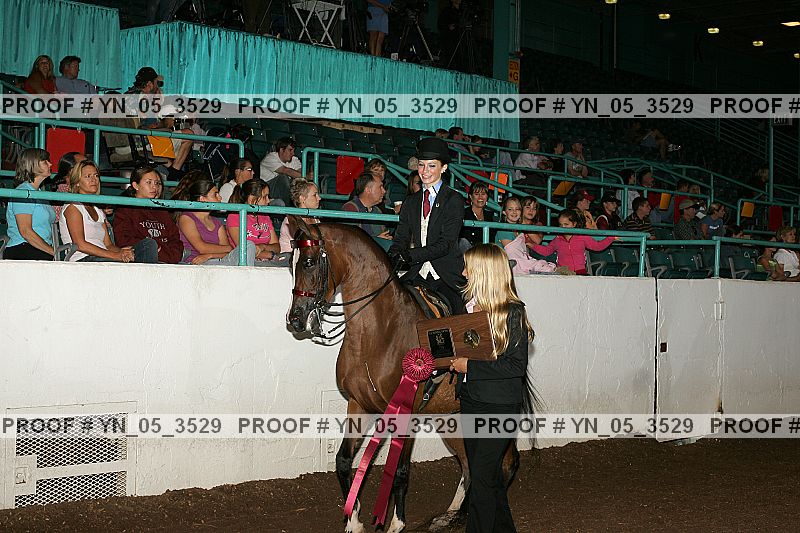 Proof Number yn_05_3529