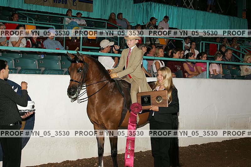 Proof Number yn_05_3530