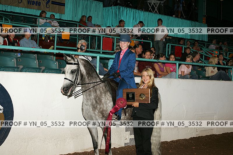 Proof Number yn_05_3532