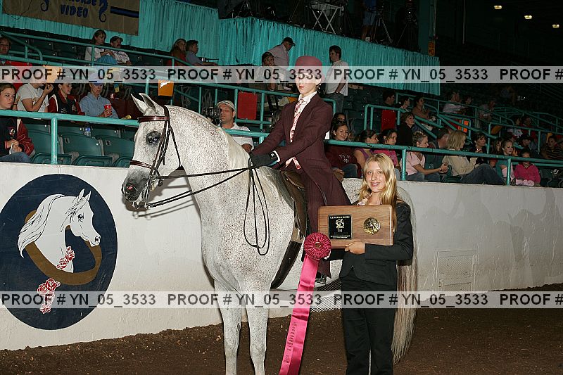Proof Number yn_05_3533
