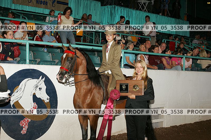 Proof Number yn_05_3538
