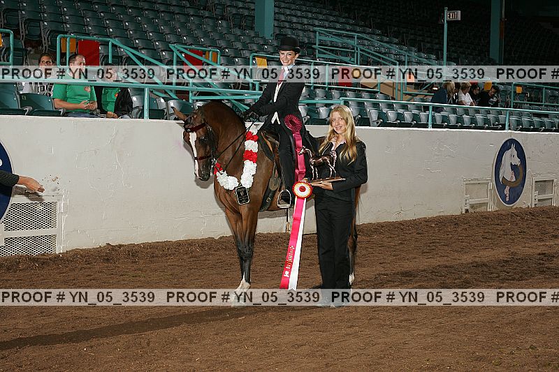 Proof Number yn_05_3539