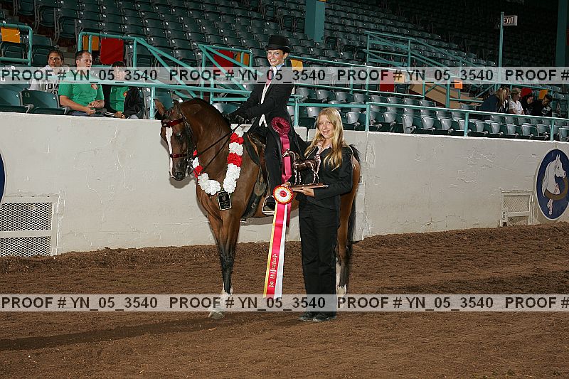 Proof Number yn_05_3540