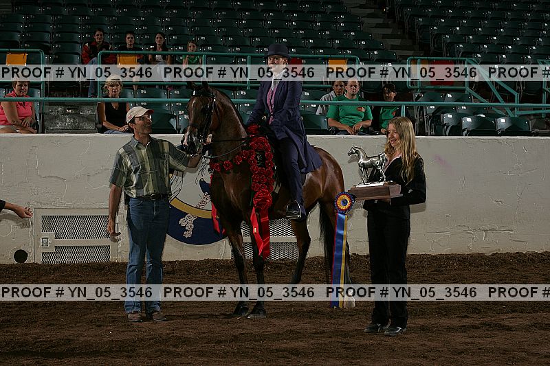 Proof Number yn_05_3546