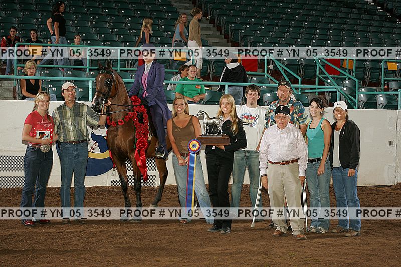 Proof Number yn_05_3549