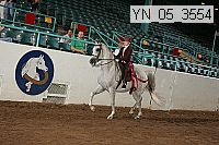 Proof Number yn_05_3554