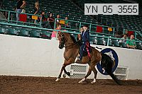 Proof Number yn_05_3555