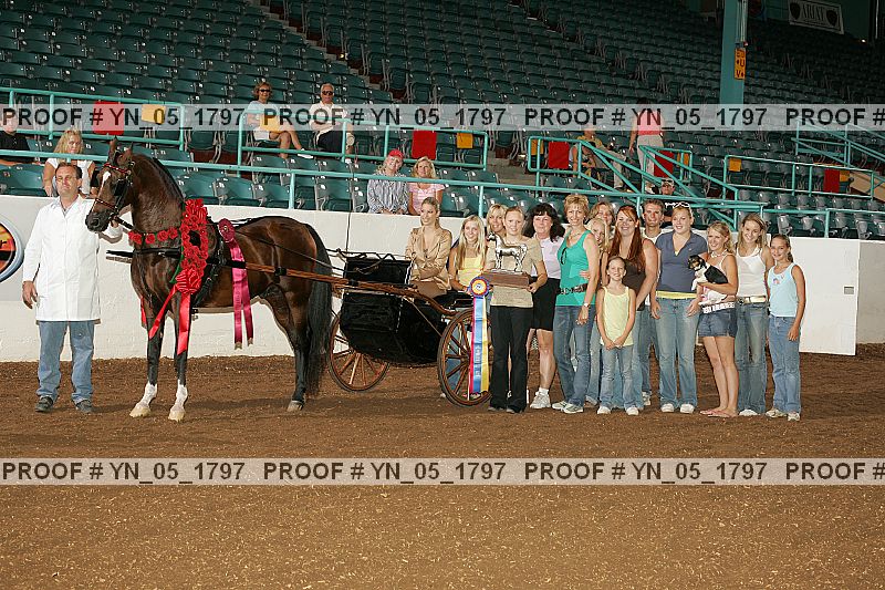 Proof Number yn_05_1797