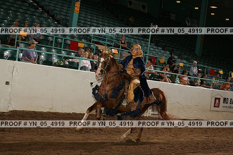 Proof Number yn_05_4919
