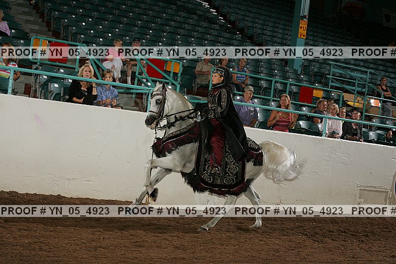 Proof Number yn_05_4923
