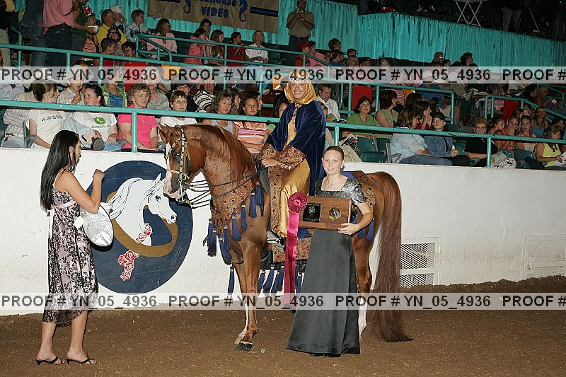 Proof Number yn_05_4936