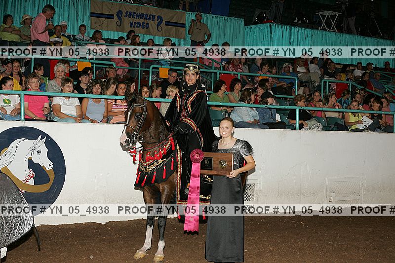 Proof Number yn_05_4938