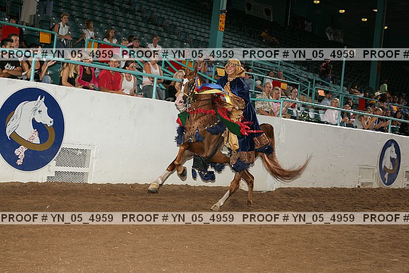 Proof Number yn_05_4959