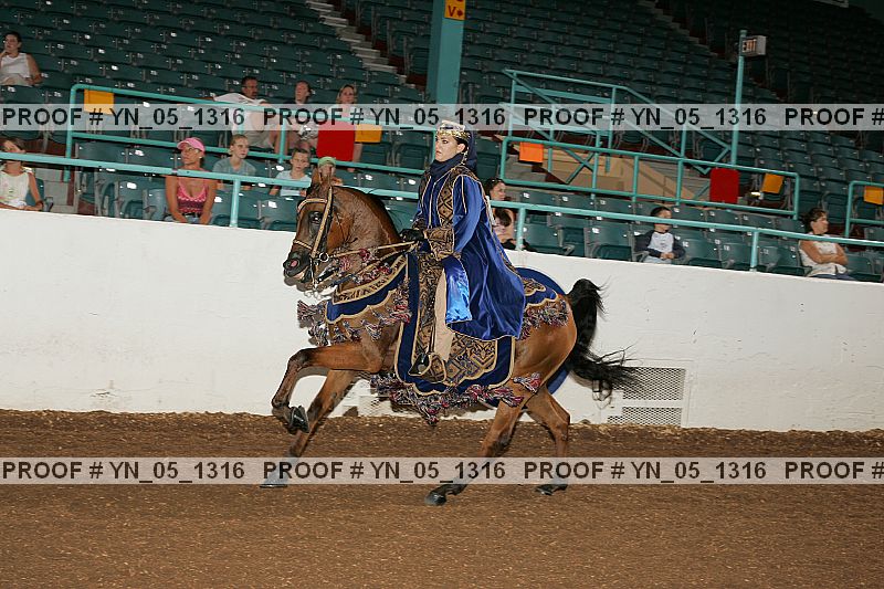 Proof Number yn_05_1316