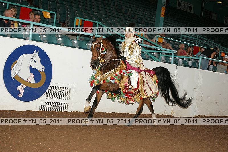 Proof Number yn_05_2011