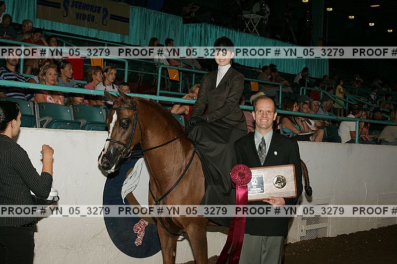 Proof Number yn_05_3279
