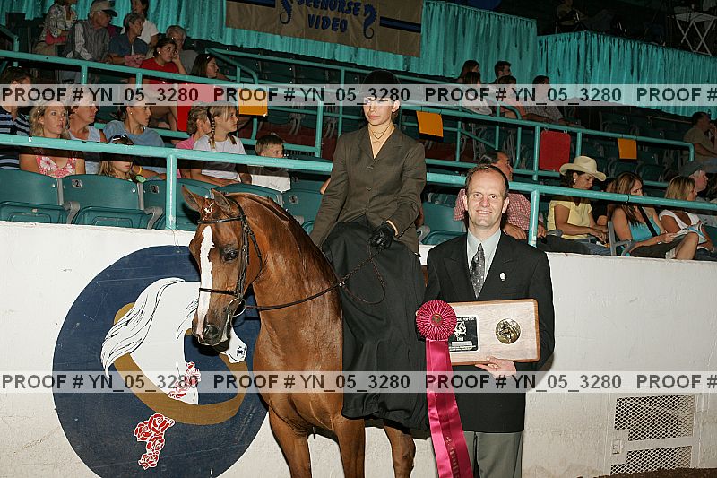 Proof Number yn_05_3280