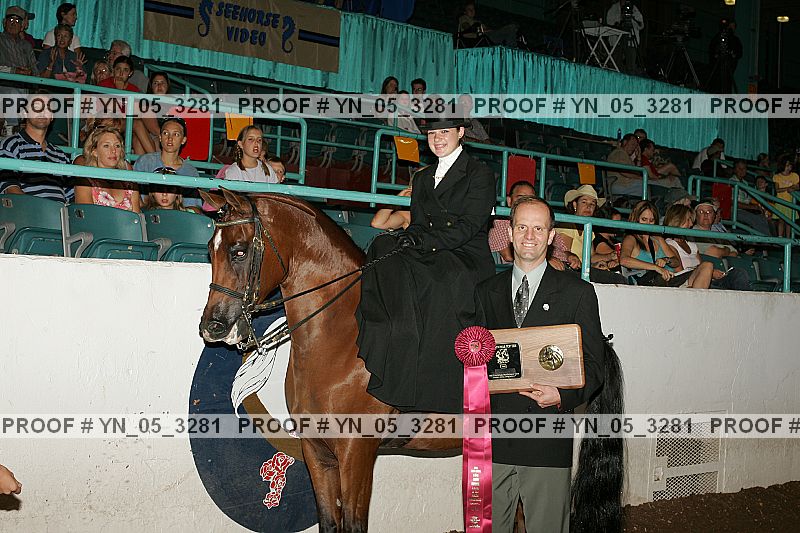 Proof Number yn_05_3281