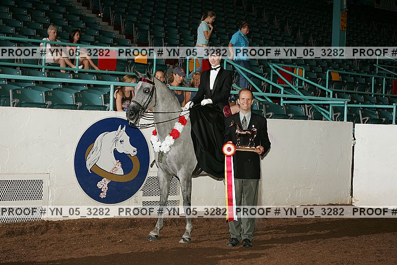 Proof Number yn_05_3282