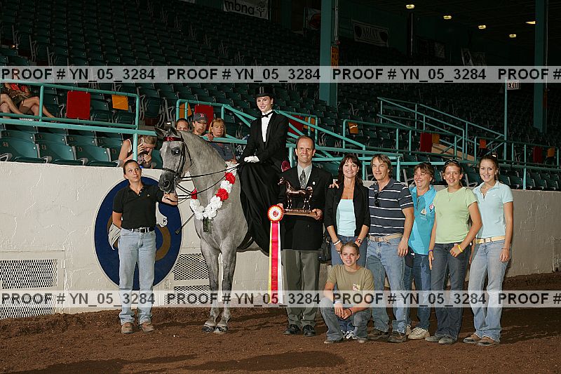 Proof Number yn_05_3284