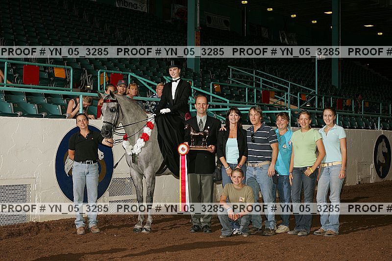 Proof Number yn_05_3285