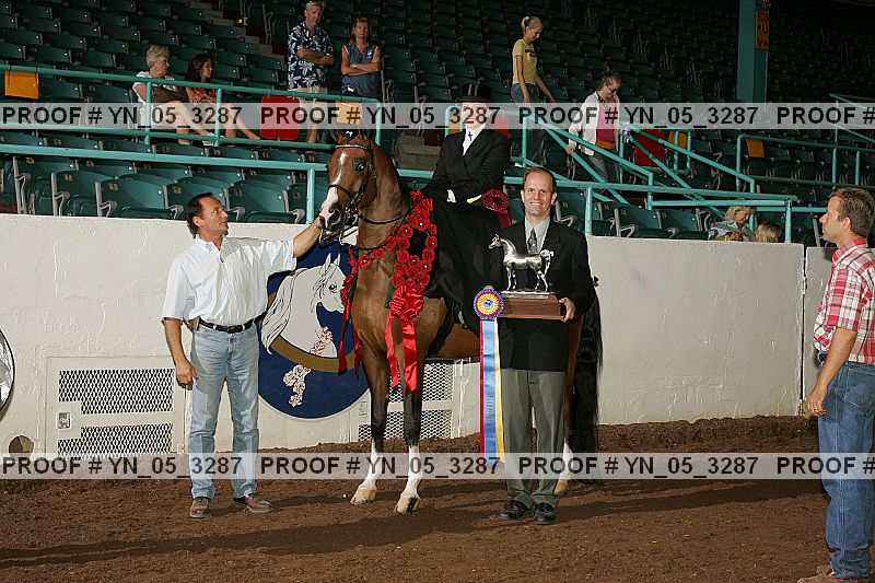 Proof Number yn_05_3287