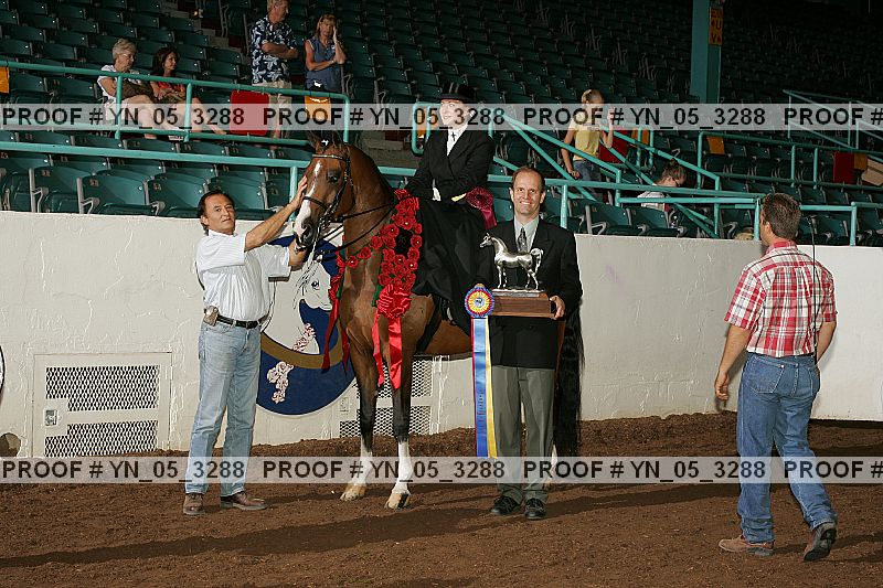 Proof Number yn_05_3288