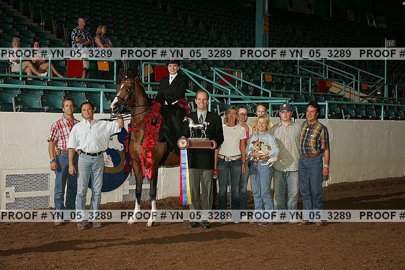 Proof Number yn_05_3289