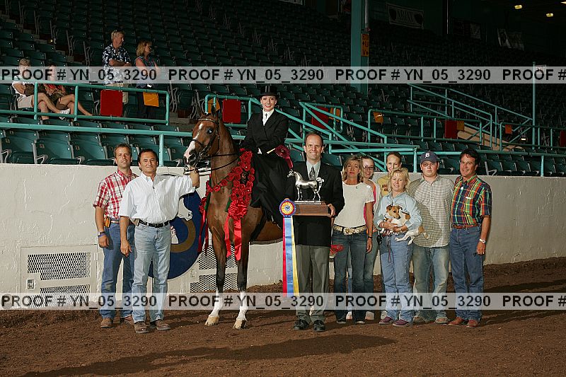 Proof Number yn_05_3290